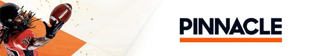 Pinnacle Sport banner
